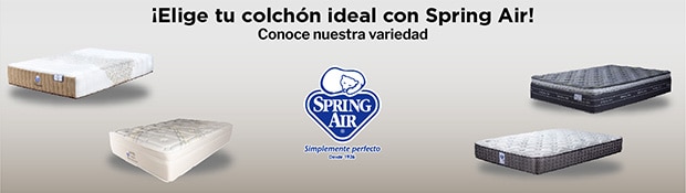 Costco en línea