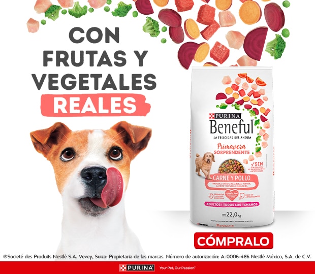 Costco en línea