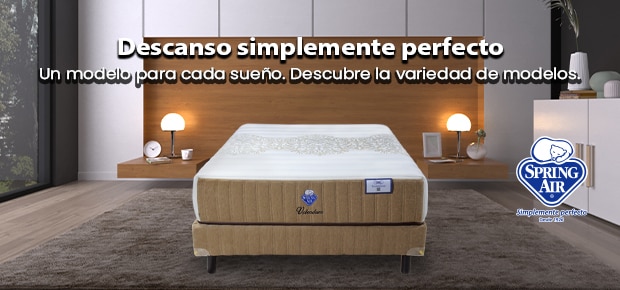 Costco en línea