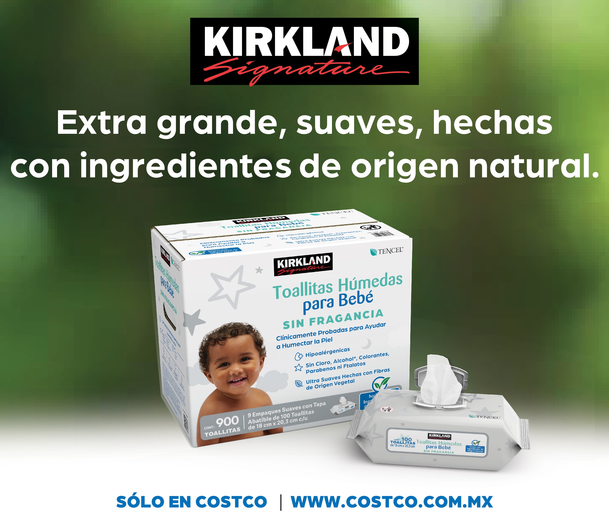Costco en línea