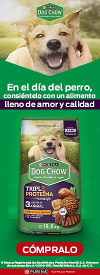 Costco en línea