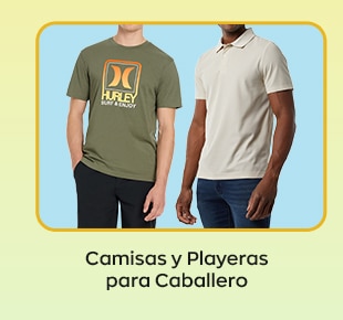 Costco en línea