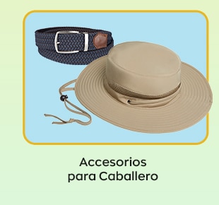 Costco en línea