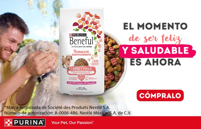 Costco en línea
