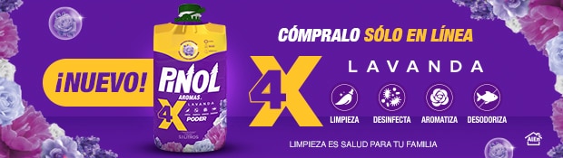Costco en línea