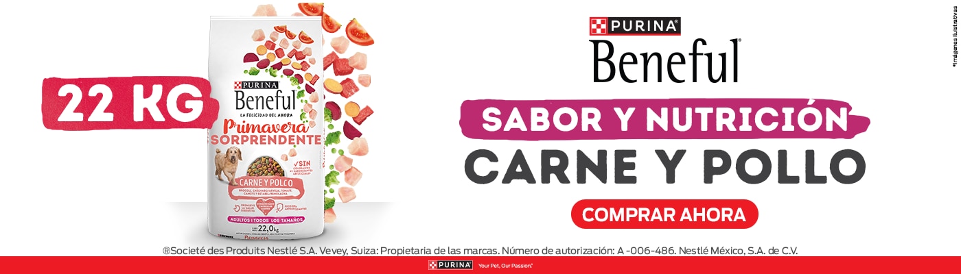 Costco en línea