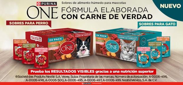 Costco en línea