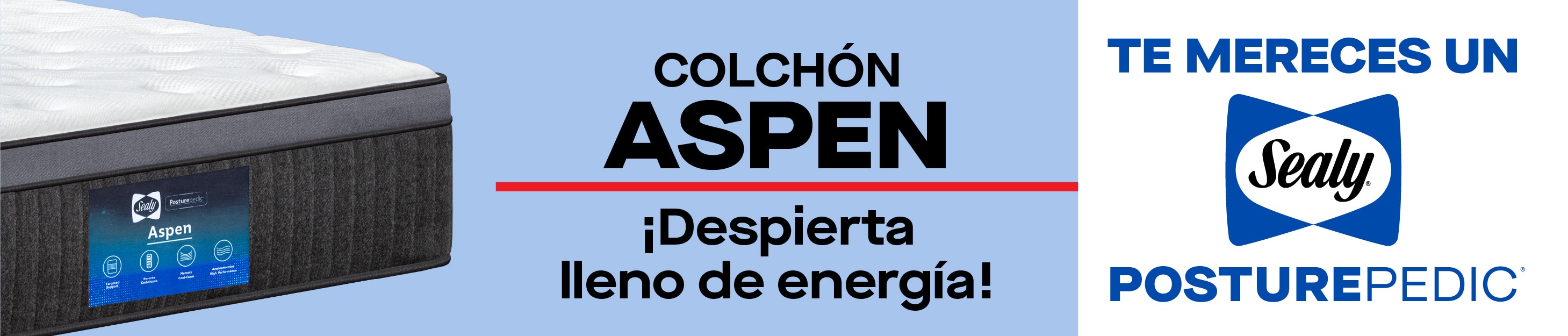 Costco en línea