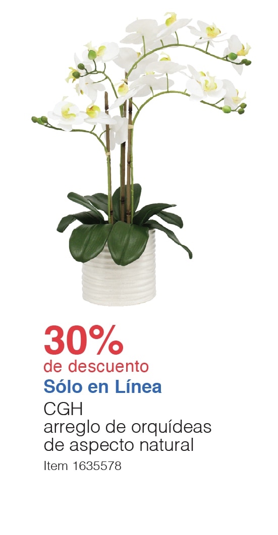 Costco en línea