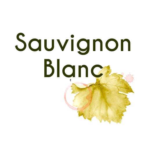 Sauvignon Blanc