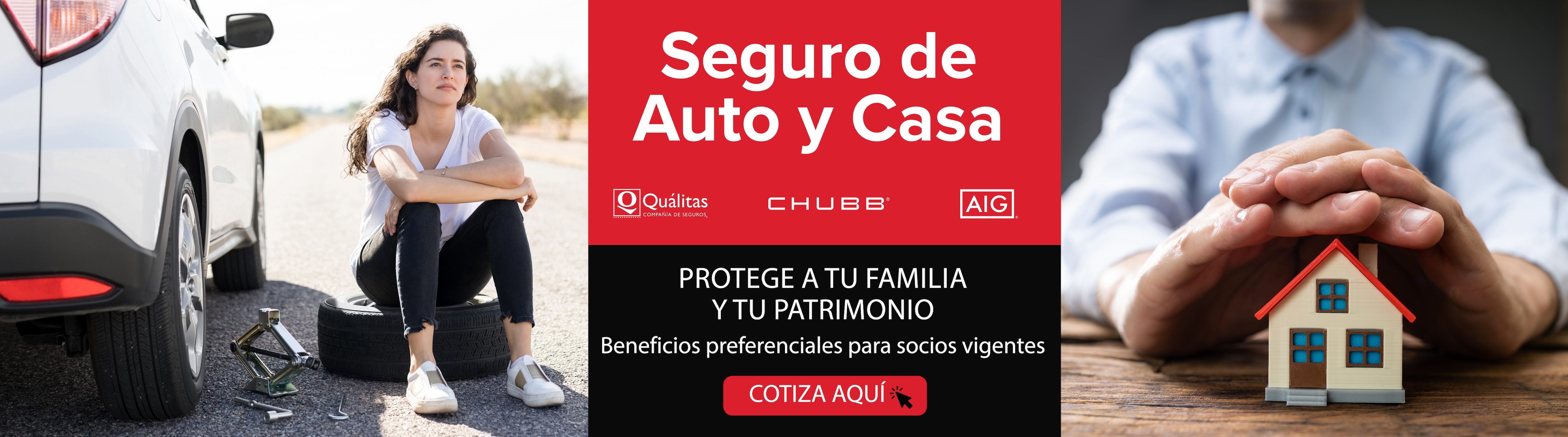 Costco en línea