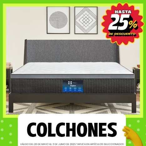 Costco en línea