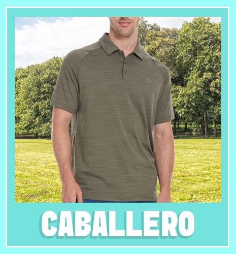Costco en línea