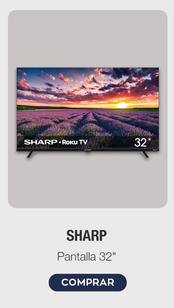 Item 1 Sharp