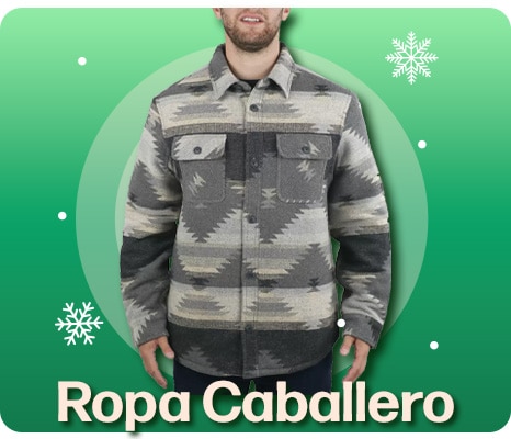 Costco en línea