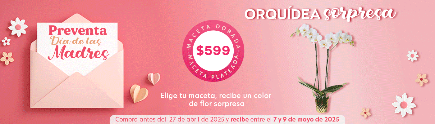 Costco en línea
