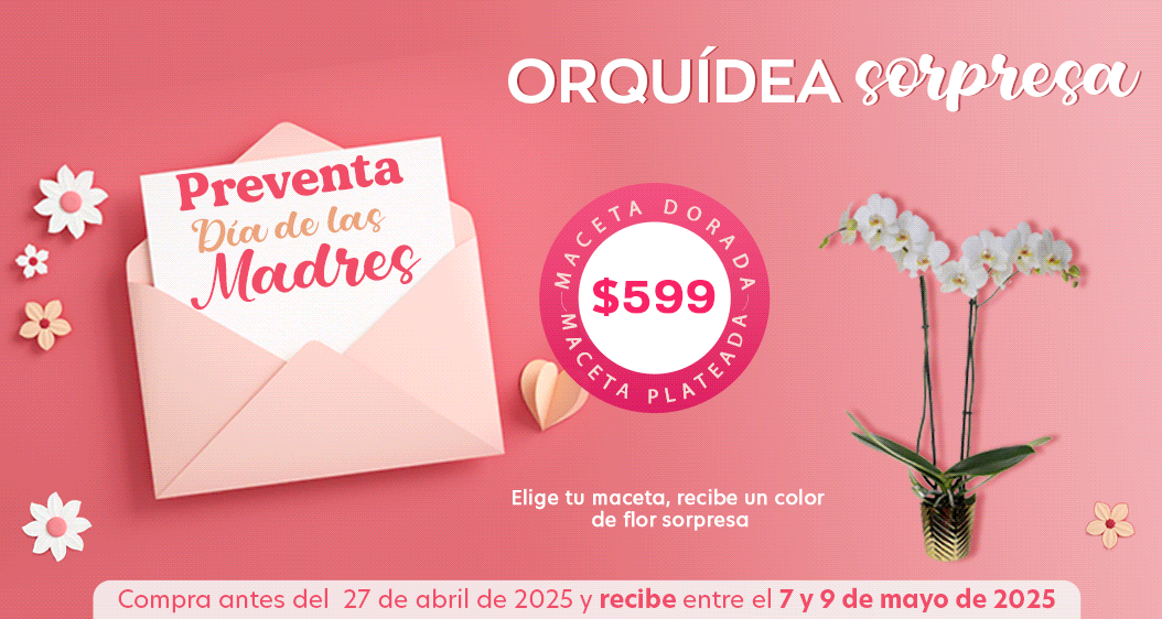 Costco en línea
