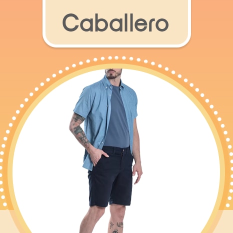 Costco en línea