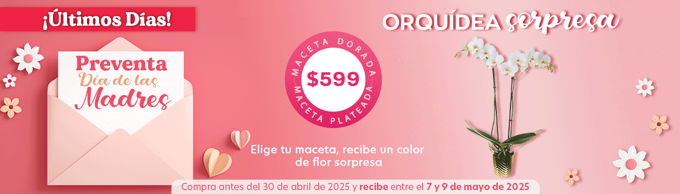 Costco en línea