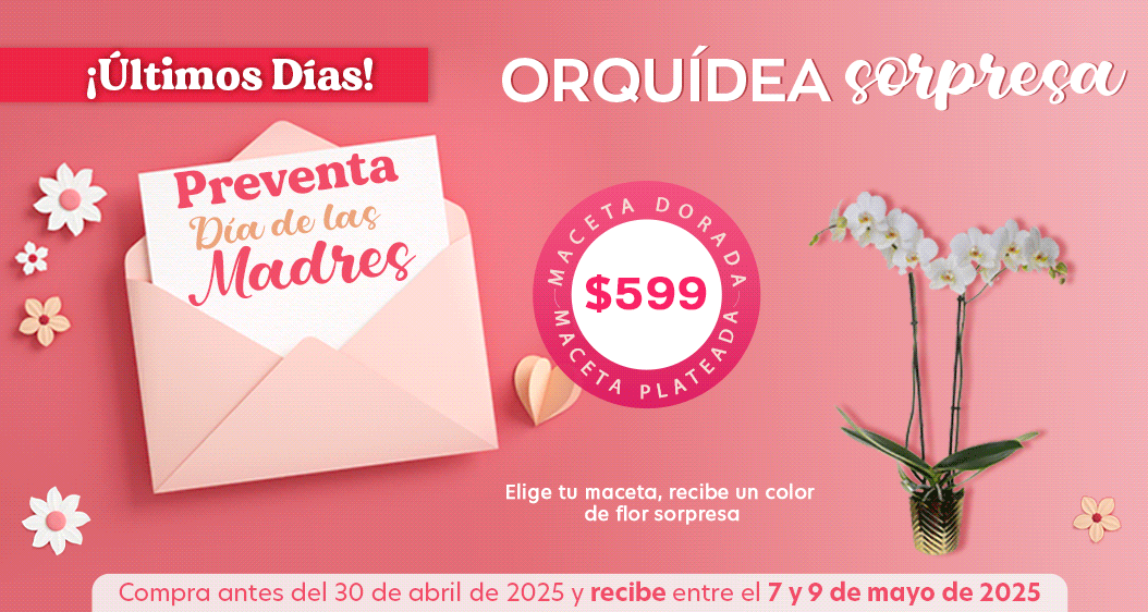 Costco en línea