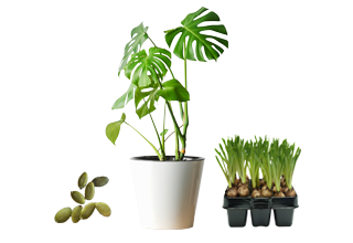 Todo para mascotas, alimentos, camas, artículos de limpieza, juguetes y más