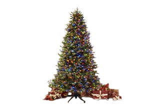 Compra tu árbol de navidad, esferas, series de luz y más