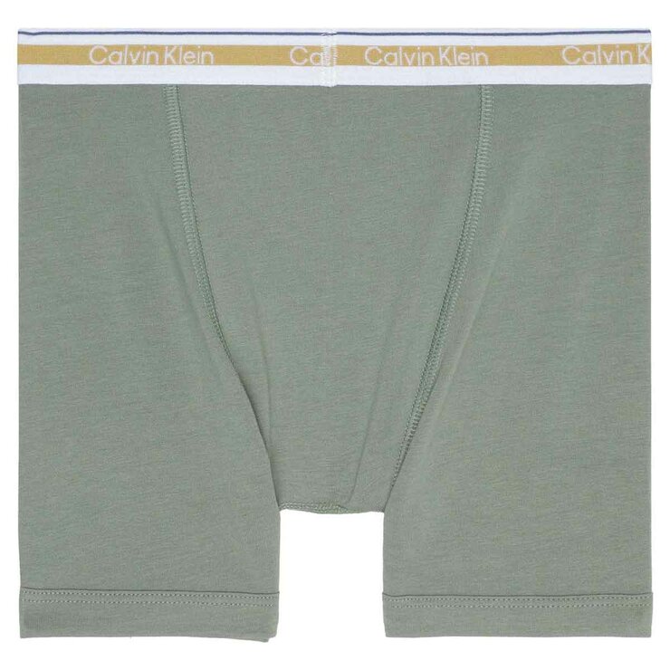 Calvin Klein Ropa Interior para Niños 6 piezas Niños 8 / 10 Años Calvin Klein Ropa Interior para Niños 6 piezas Niños 8 / 10 Años