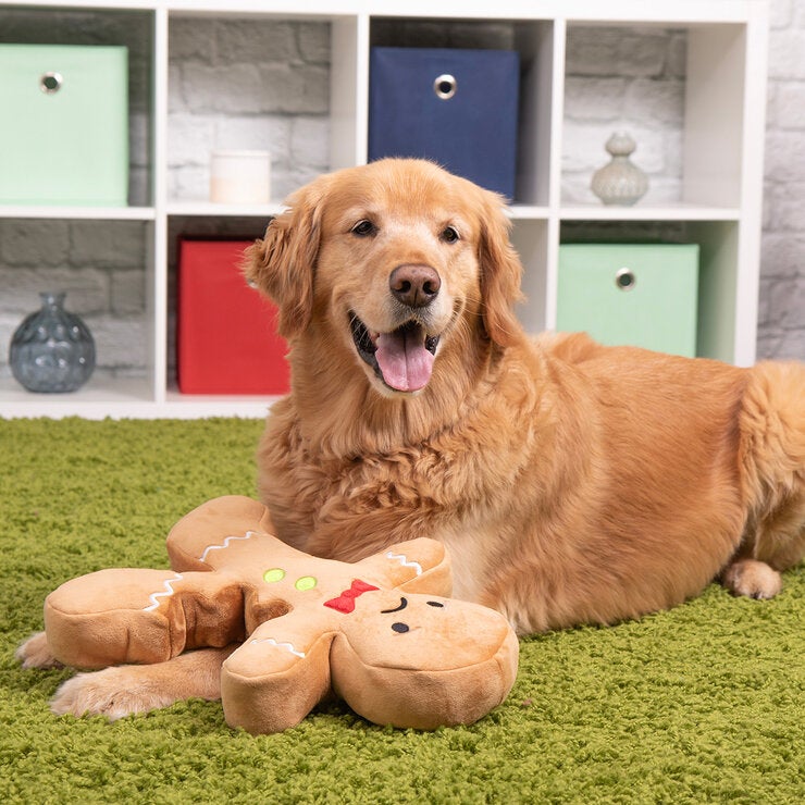 Go Dog Juguete para Perro 1 pza