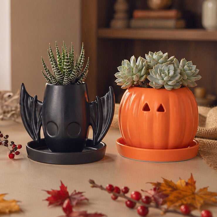 Estudio Floga, Macetas Tipo Halloween de Cerámica 2 piezas, Varios Diseños Estudio Floga, Macetas Tipo Halloween de Cerámica 2 piezas, Varios Diseños