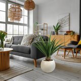 CG Hunter, Agave Artificial
