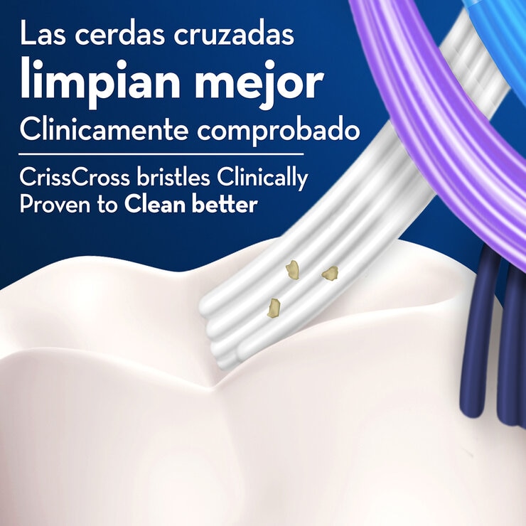 Oral-B Cepillos Dentales 8 pzas Medio