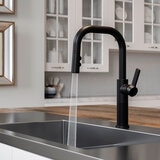 Pfister, Grifo Monomando de Cocina Desplegable Montay, Negro Mate Pfister, Grifo Monomando de Cocina Desplegable Montay, Negro Mate