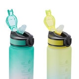 Juego de 2 Botellas Rosa 880 ml