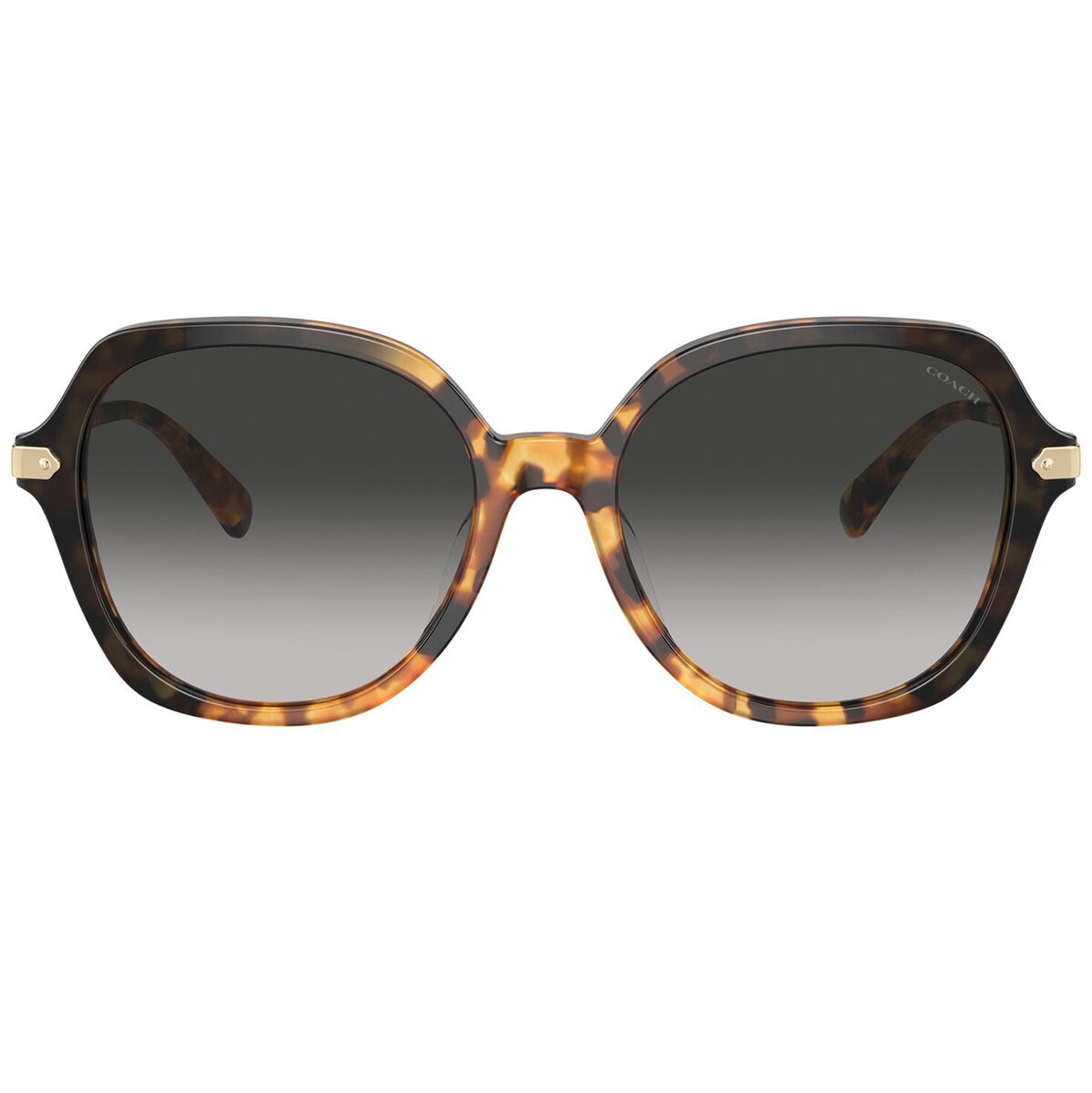 Coach 0HC8377U Lentes de Sol