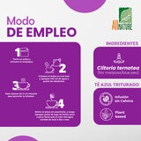 All Nature Blue Pea Tea 60 Sobres