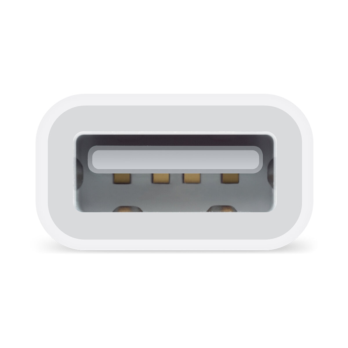 Apple Adaptador de lightning a USB para cámara