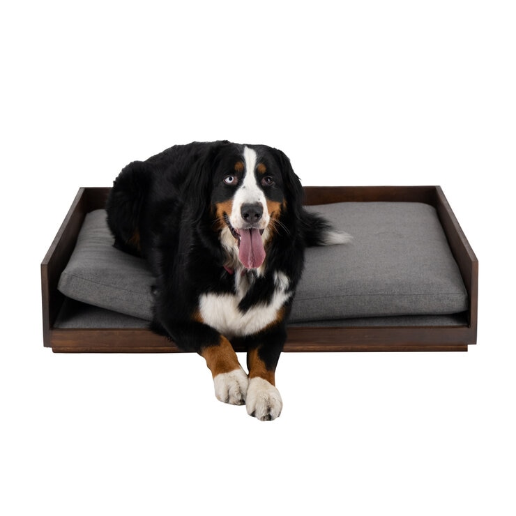 Maypet Cama de Madera Tamaño Grande para Perro, Varios Colores