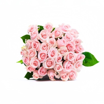 Chiltepec, Bouquet de 36 Rosas Color Rosa Claro