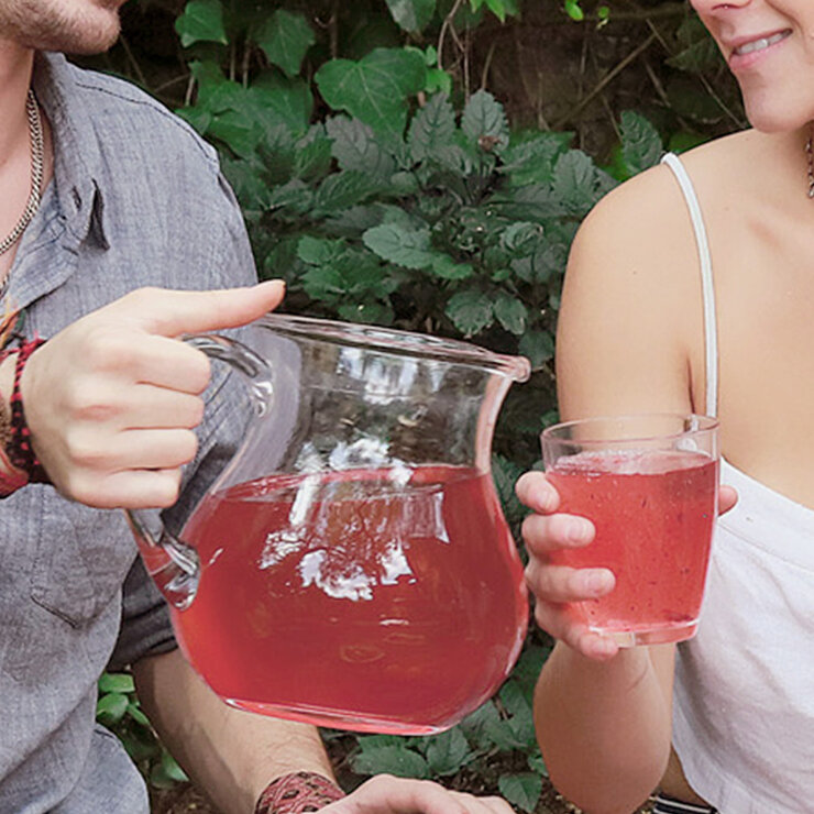 Zaaté Probitotea Kombucha Fresa-Hierbabuena 700 g Zaaté Probitotea Kombucha Fresa-Hierbabuena 700 g