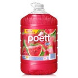 Poett Sandía Limpiador Multiusos 9 l