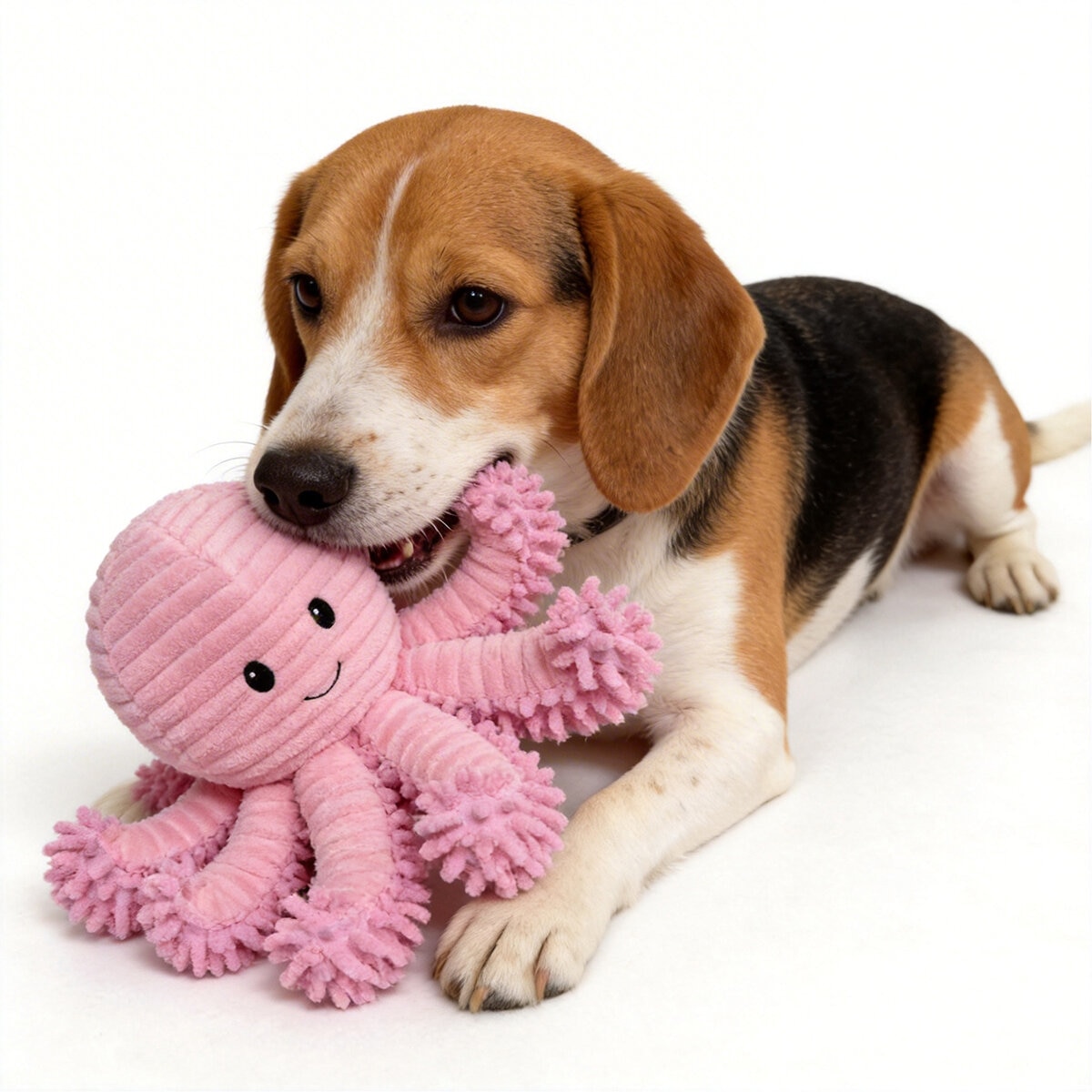 Hugfun Juguetes para Perro 3 pzas