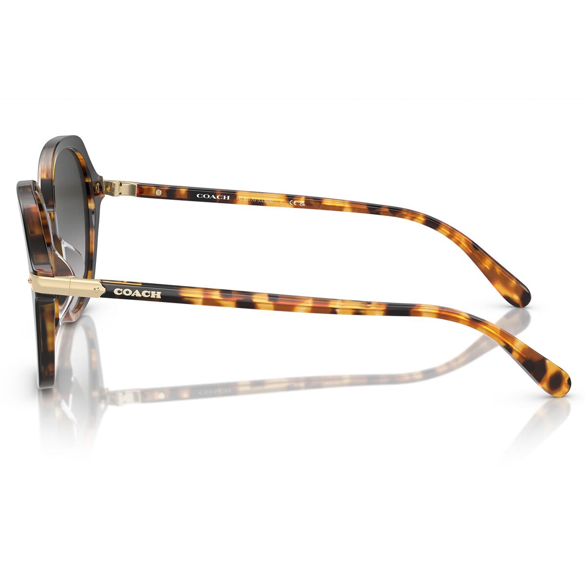 Coach 0HC8377U Lentes de Sol