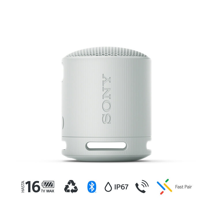 Sony SRS-XB100 Bocina Inalámbrica Portátil Gris