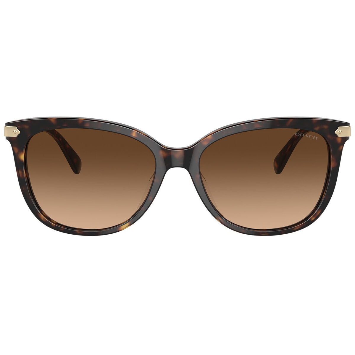 Coach 0HC8378U51207457 Lentes de Sol