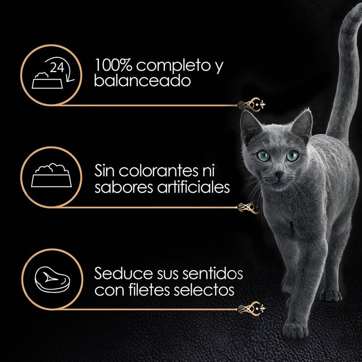 Sheba Alimento Húmedo para Gato Multisabor 24 pzas de 85 gr