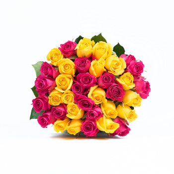 Chiltepec, Bouquet de 36 Rosas Color Fucsia y Amarillo
