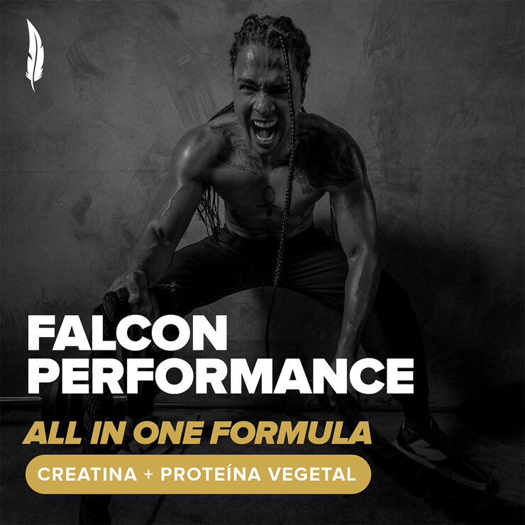 Birdman Falcon Performance Proteína Vegetal Sabor Vainilla 2.1 kg