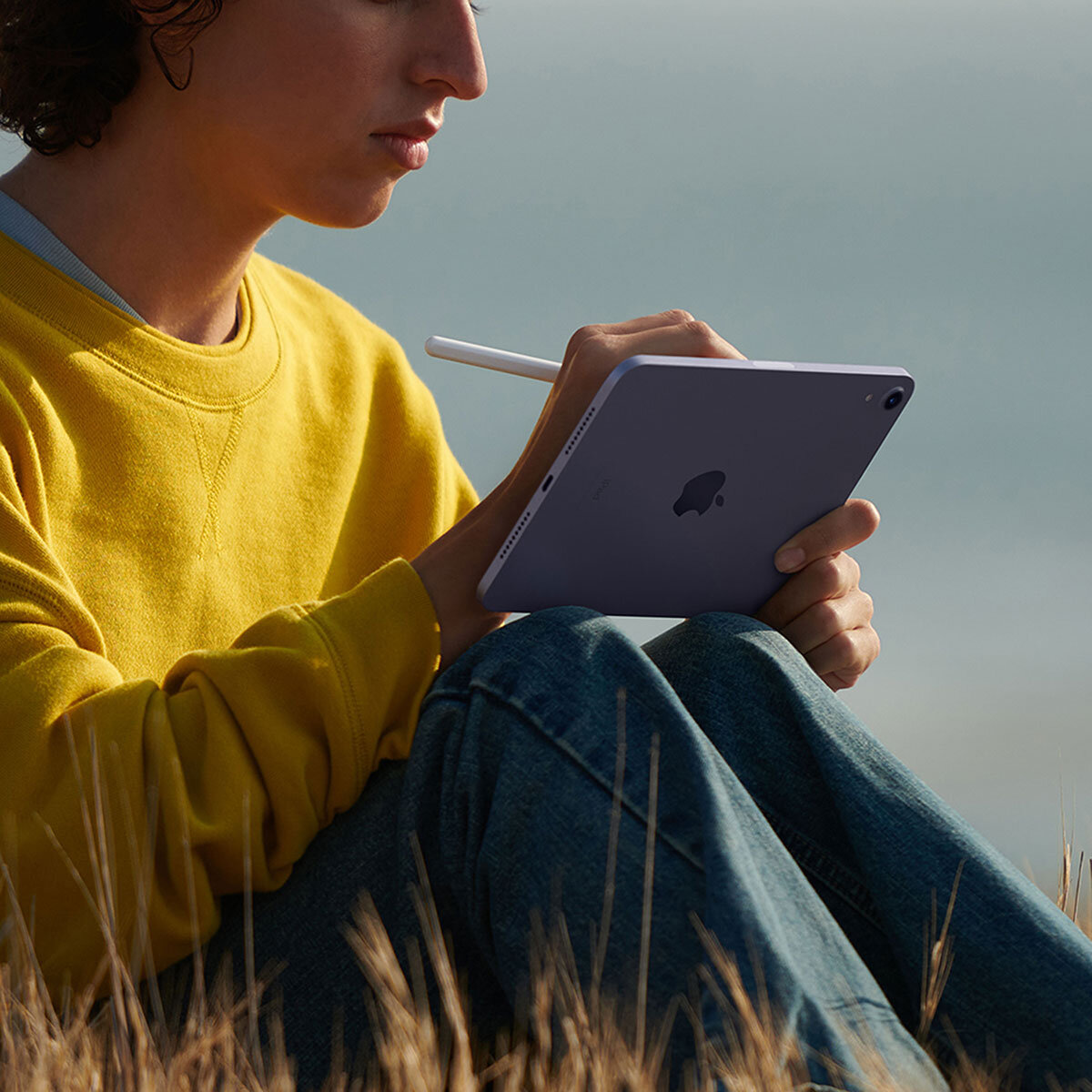 Apple iPad Mini 8.3" Wi-Fi 64GB Blanco Estrella