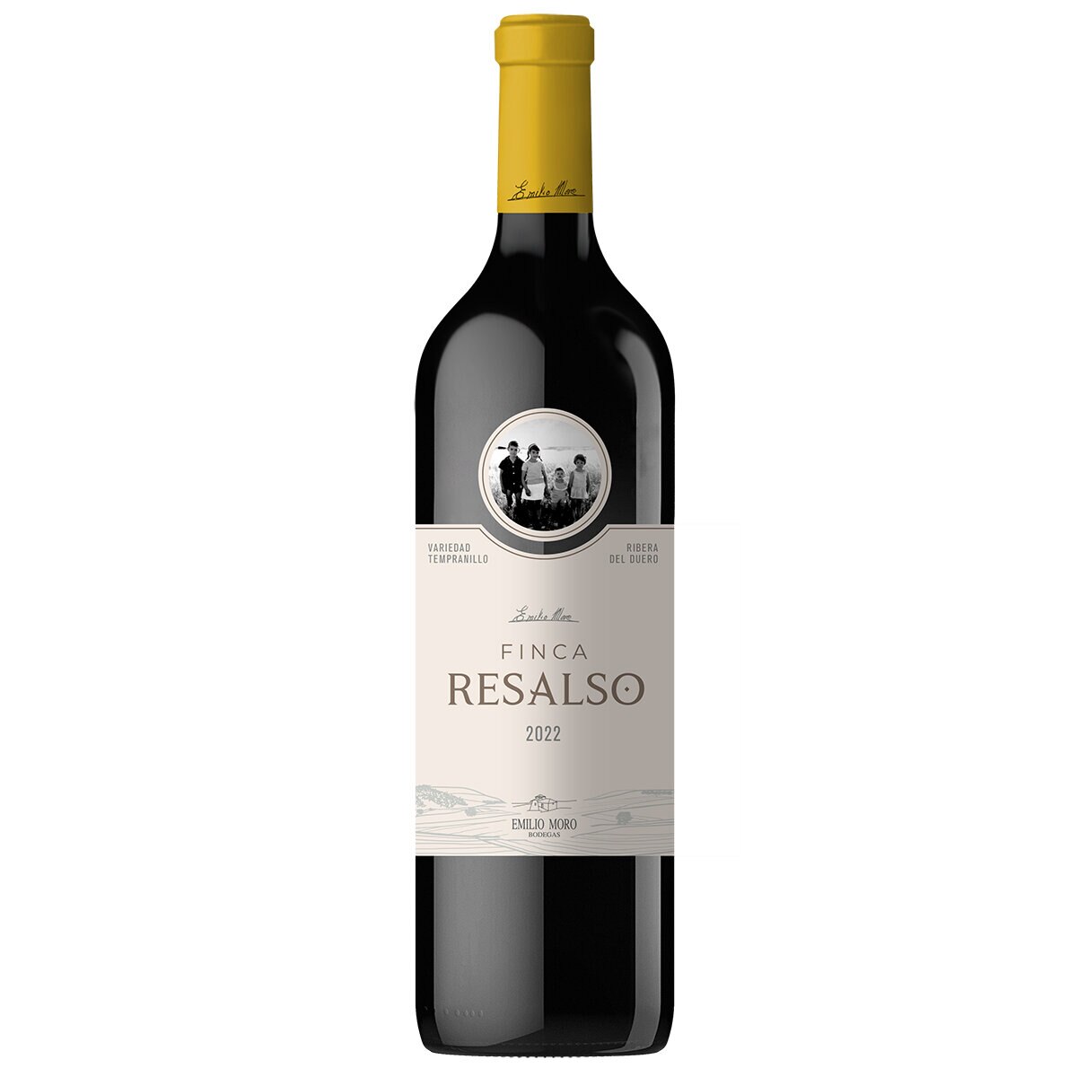Vino Tinto Finca Resalso 750ml