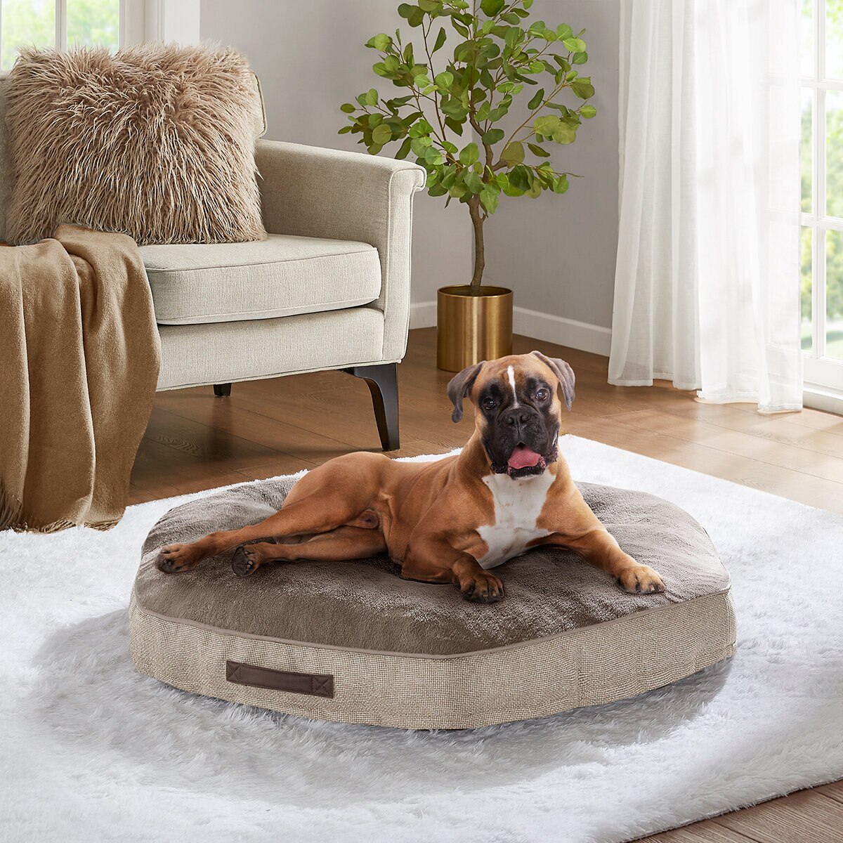 Kirkland Signature Cama Hexagonal para Mascotas